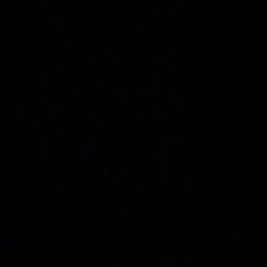 Meet your Posher, Roger